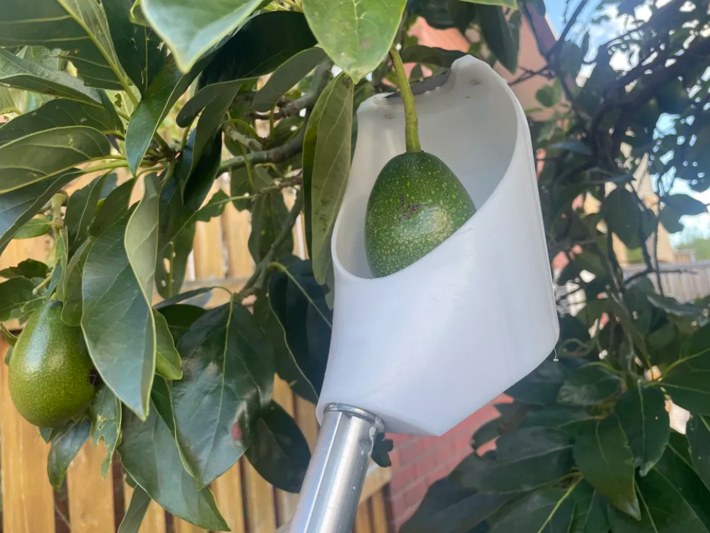 Fruit Picker